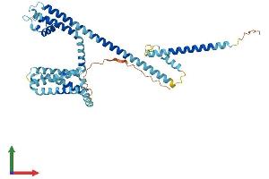 Protein Structure (PS) image for Cation Channel, Sperm Associated 3 (CATSPER3) (AA 1-398) protein (His tag) (ABIN7546756)