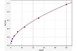 Typical standard curve (SNAP25 ELISA Kit)