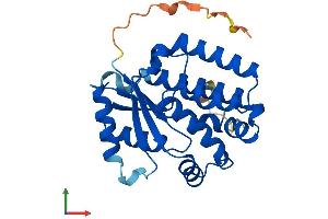 AlphaFold protein structure predicition of Mouse Recombinant Dck Protein, UniprotID P43346