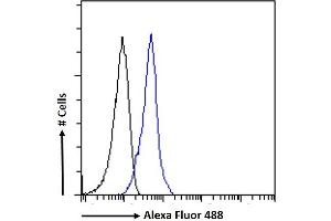 (ABIN335143) Flow cytometric analysis of paraformaldehyde fixed K562 cells (blue line), permeabilized with 0. (IFNAR2 antibody  (Internal Region))