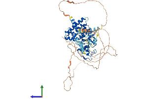 AlphaFold protein structure predicition of Human Recombinant NR1D2 Protein, UniprotID Q14995