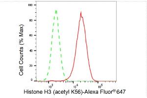 Flow cytometric analysis of Histone H3 (acetyl K56) expression in HAP-1 cells using Histone H3 (acetyl K56) antibody (ABIN7798972), 1:2,000).