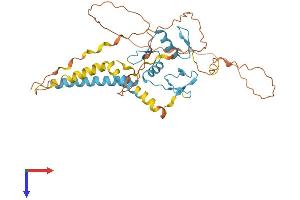 AlphaFold protein structure predicition of Human Recombinant ZNF367 Protein, UniprotID Q7RTV3 (ZNF367 Protein (AA 1-350) (His tag))