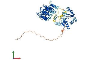 AlphaFold protein structure predicition of Human Recombinant DDX25 Protein, UniprotID Q9UHL0