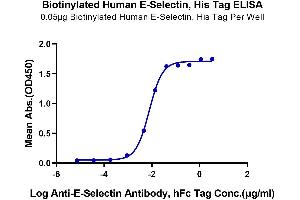 ELISA image for Selectin E (SELE) (AA 22-556) protein (His-Avi Tag,Biotin) (ABIN7274573)