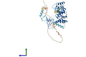 AlphaFold protein structure predicition of Human Recombinant PNMA3 Protein, UniprotID Q9UL41