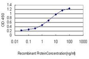 Detection limit for recombinant GST tagged HERPUD1 is approximately 0. (HERPUD1 antibody  (AA 74-180))