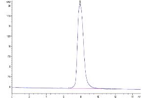 The purity of Cynomolgus MMP-9 is greater than 95 % as determined by SEC-HPLC. (MMP 9 Protein (AA 20-706) (His tag))