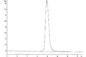 The purity of Cynomolgus MMP-9 is greater than 95 % as determined by SEC-HPLC. (MMP 9 Protein (AA 20-706) (His tag))