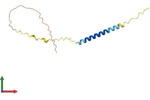 Protein Structure (PS) image for Nerve Growth Factor Receptor (TNFRSF16) Associated Protein 1 (NGFRAP1) (AA 1-111) protein (His tag) (ABIN7552563)
