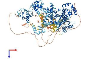 AlphaFold protein structure predicition of Human Recombinant GTF2IRD2B Protein, UniprotID Q6EKJ0 (GTF2IRD2B Protein (AA 1-949) (His tag))