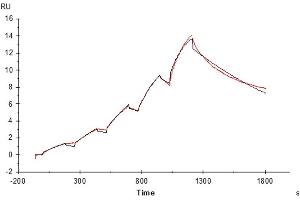 Surface Plasmon Resonance (SPR) image for Transferrin (TF) (AA 20-698) protein (His tag) (ABIN7275694)