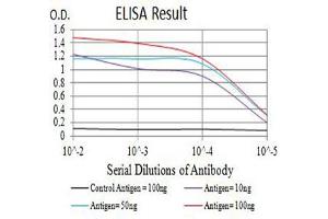Black line: Control Antigen (100 ng),Purple line: Antigen (10 ng), Blue line: Antigen (50 ng), Red line:Antigen (100 ng) (CD40 Ligand antibody  (AA 47-261))