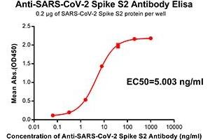 Elisa plate pre-coated by 2 μg/mL(100 μL/well) SARS-CoV-2 Spike S2 protein can bind Rabbit Anti-SARS-CoV-2 Spike S2 monoclonal antibody (clone:DM39) in a linear range of 0.