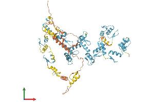 AlphaFold protein structure predicition of Human Recombinant ZNF840P Protein, UniprotID A6NDX5 (ZNF840 Protein (AA 1-716) (His tag))