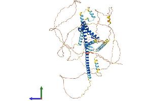 Protein Structure (PS) image for SRY (Sex Determining Region Y)-Box 5 (SOX5) (AA 1-763) protein (His tag) (ABIN7563185)