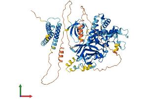 Protein Structure (PS) image for Nephronophthisis 1 (Juvenile) (NPHP1) (AA 1-732) protein (His tag) (ABIN7554793)