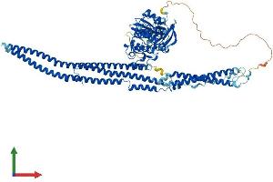 Protein Structure (PS) image for FER Tyrosine Kinase (FER) (AA 1-822) protein (His tag) (ABIN7553945)