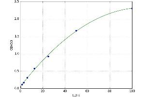 Hexosaminidase B (Beta Polypeptide) (HEXB) ELISA Kit