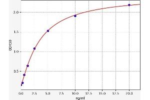 Typical standard curve (TIMP2 ELISA Kit)