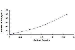 Aggrecan ELISA Kit