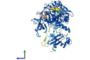AlphaFold protein structure predicition of Human Recombinant ACSL1 Protein, UniprotID P33121 (ACSL1 Protein (AA 1-698) (His tag))