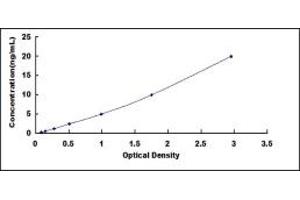 Typical standard curve (CACNA1B ELISA Kit)