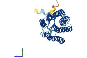 AlphaFold protein structure predicition of Mouse Recombinant Mmd Protein, UniprotID Q9CQY7 (MMD Protein (AA 1-238) (His tag))