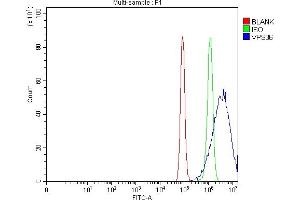 Flow Cytometry analysis of PC-3 cells using anti-VPS36 antibody (ABIN7599339). (VPS36 antibody  (AA 1-386))