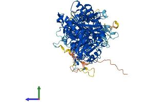 AlphaFold protein structure predicition of Mouse Recombinant Pld2 Protein, UniprotID P97813