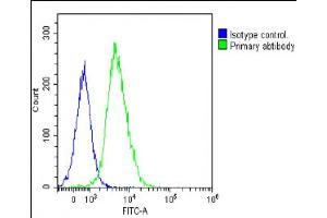 Overlay histogram showing Jurkat cells stained with (ABIN656127 and ABIN2845468)(green line).