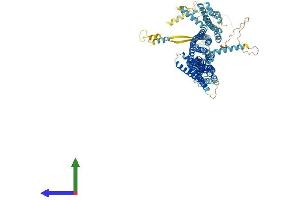 AlphaFold protein structure predicition of Mouse Recombinant Cog3 Protein, UniprotID Q8CI04 (COG3 Protein (AA 1-820) (His tag))