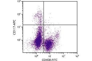 BALB/c mouse bone marrow cells were stained with Rat Anti-Mouse CD117-APC. (KIT antibody  (APC))