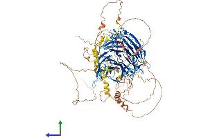 AlphaFold protein structure predicition of Human Recombinant BCAS3 Protein, UniprotID Q9H6U6