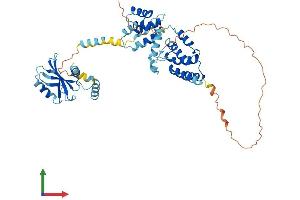 AlphaFold protein structure predicition of Human Recombinant PNMA3 Protein, UniprotID Q9UL41
