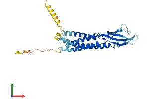 AlphaFold protein structure predicition of Human Recombinant SYPL1 Protein, UniprotID Q16563