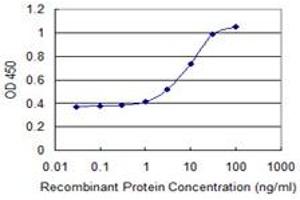 Detection limit for recombinant GST tagged IKZF5 is 0. (IKZF5 antibody  (AA 2-100))
