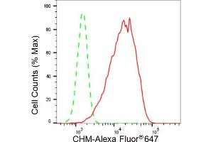 Flow cytometric analysis of CHM expression in HepG2 cells using CHM antibody (ABIN7798057), 1:2,000). (Recombinant CHM antibody)