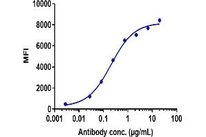 Human TIGIT HEK293 cells were stained with Anti-TIGIT Reference Antibody (tiragolumab) and negative control protein respectively, washed and then followed by PE and analyzed with FACS, EC50=0. (Recombinant TIGIT (Tiragolumab Biosimilar) antibody)