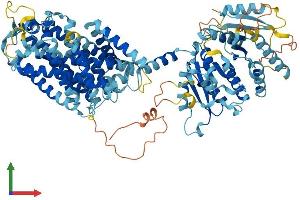 AlphaFold protein structure predicition of Mouse Recombinant Slc12a9 Protein, UniprotID Q99MR3