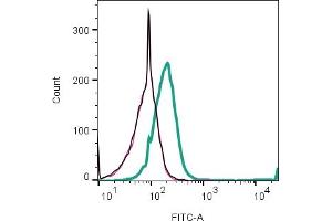 Black Line: Cells.