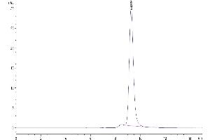 The purity of Mouse APOH is greater than 95 % as determined by SEC-HPLC. (APOH Protein (AA 20-345) (His tag))