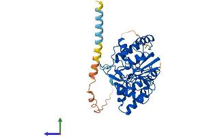 Protein Structure (PS) image for ST8 alpha-N-Acetyl-Neuraminide alpha-2,8-Sialyltransferase 2 (ST8SIA2) (AA 1-375) protein (His tag) (ABIN7546002)