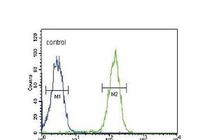 SLC9A3R1 Antibody (Center) (ABIN652034 and ABIN2840508) flow cytometric analysis of MDA-M cells (right histogram) compared to a negative control cell (left histogram). (SLC9A3R1 antibody  (AA 168-197))