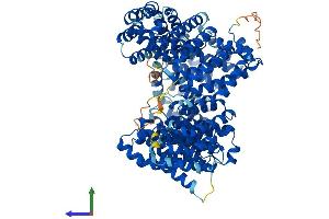 AlphaFold protein structure predicition of Human Recombinant IPO13 Protein, UniprotID O94829 (IPO13 Protein (AA 1-963) (His tag))