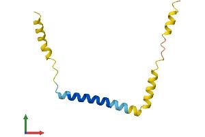 AlphaFold protein structure predicition of Mouse Recombinant Dexi Protein, UniprotID Q9WUQ7