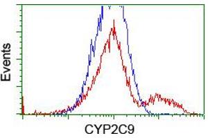 HEK293T cells transfected with either RC220997 overexpress plasmid (Red) or empty vector control plasmid (Blue) were immunostained by anti-CYP2C9 antibody (ABIN2455183), and then analyzed by flow cytometry. (CYP2C9 antibody)