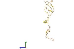 AlphaFold protein structure predicition of Human Recombinant KRTAP27-1 Protein, UniprotID Q3LI81 (KRTAP27-1 Protein (AA 1-207) (His tag))