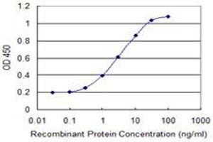 Detection limit for recombinant GST tagged MAP1S is 0. (MAP1S antibody  (AA 929-1026))