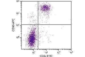 BALB/c mouse splenocytes were stained with Rat Anti-Mouse CD90-APC. (CD90 antibody  (APC))